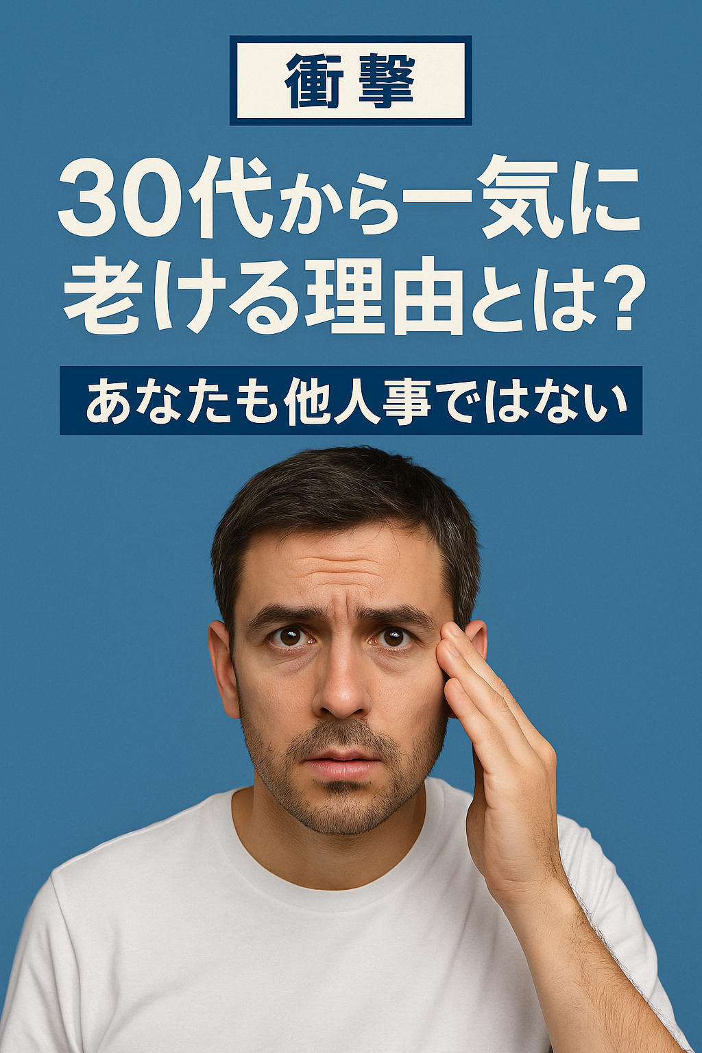 セクション画像