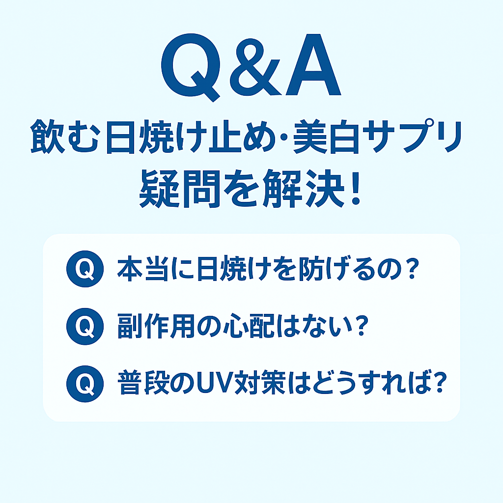 セクション画像