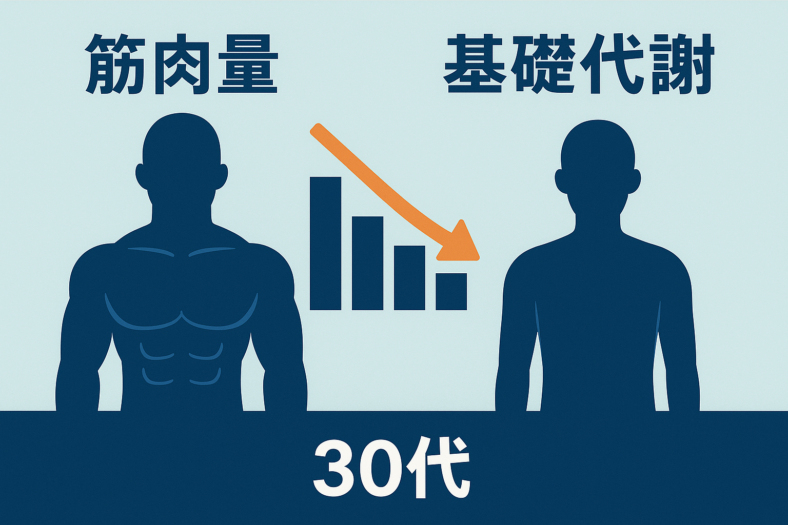 30代男性の筋肉量と基礎代謝の減少を示すインフォグラフィック